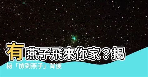 撿到燕子代表什麼|燕子代表吉祥，但燕子與我們的關係你知道嗎？